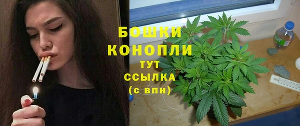 эйфоретик Вяземский