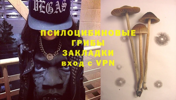 эйфоретик Вяземский