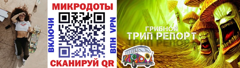 Купить закладки  Галич  Галлюциногенные грибы мицелий 