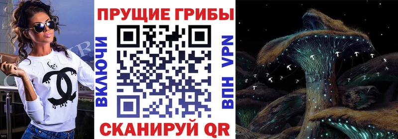 Галлюциногенные грибы Psilocybine cubensis Галич