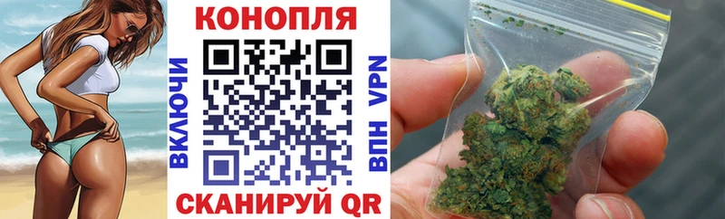 Купить где  Галич  Шишки марихуана тримм 